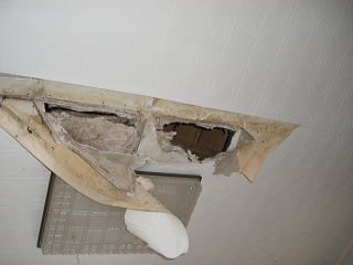 ハクビシンによる被害　天井の穴